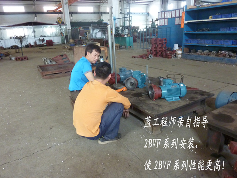 佛真工程師親自指導(dǎo)2BVF水環(huán)式真空泵的安裝，嚴(yán)格的安裝要求對(duì)水環(huán)式真空泵性能提高有著重要的作用